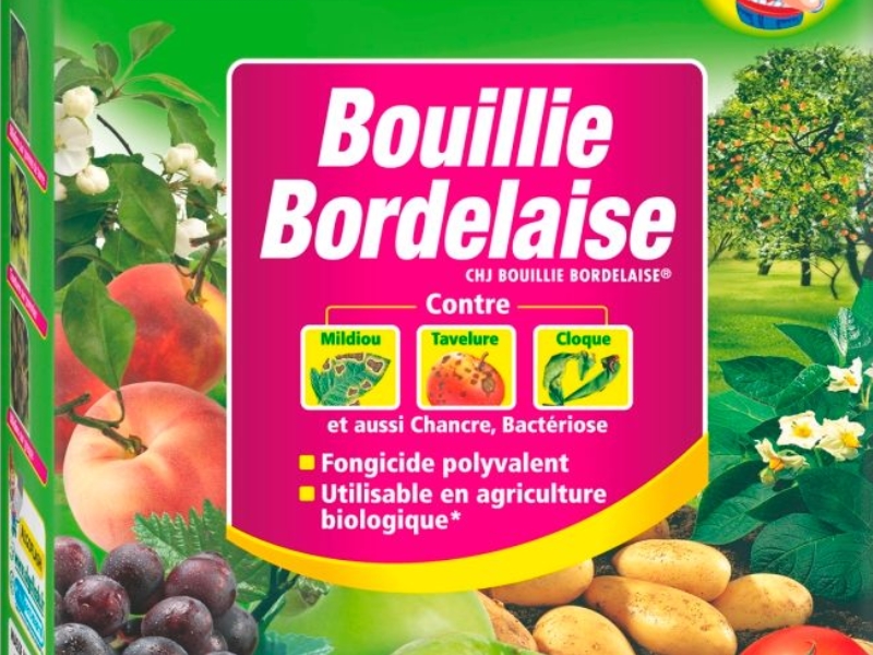 Qu'est-ce que la bouillie bordelaise ? Comment l'utiliser au jardin ?