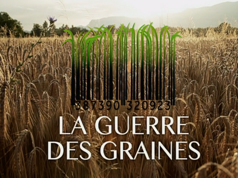 la_guerre_des_graines