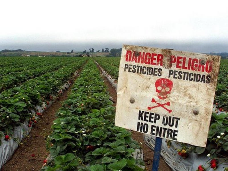 pesticides fruits et légumes (1)