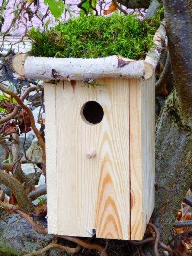 Nichoir pour oiseaux en bois naturel (Dobar wildlife)