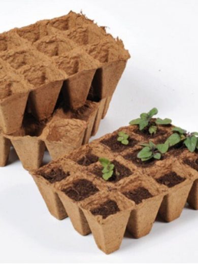 36 Pots biodégradables (3 plaques de 12 pots)