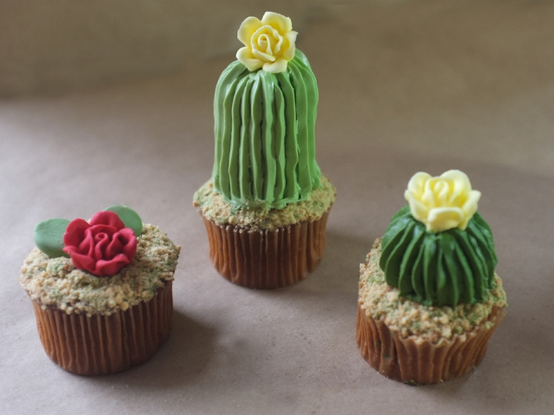 cupcakes en forme de cactus (2)