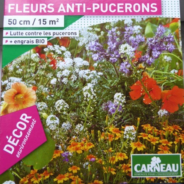 Fleurs anti-pucerons 520g (pour 15 m2)