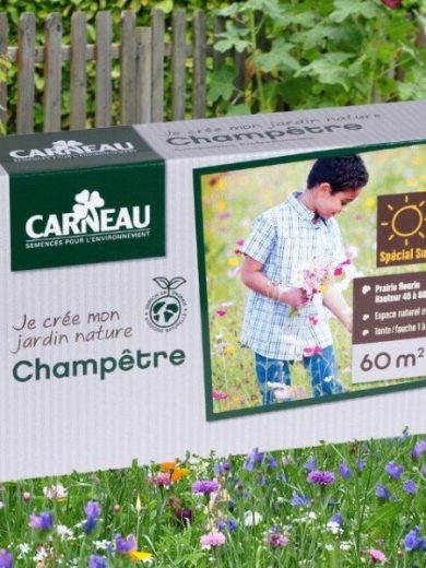 Gazon champêtre 1 kg (Mélange de fleurs)