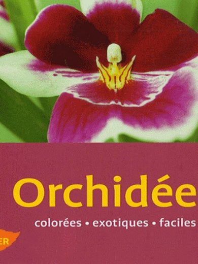 Orchidées colorées, exotiques et faciles (Lutz Rollke)