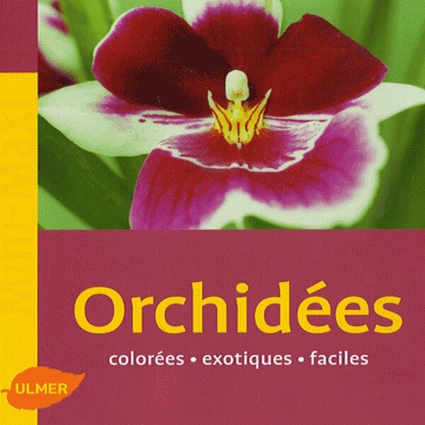 Orchidées colorées, exotiques et faciles (Lutz Rollke)