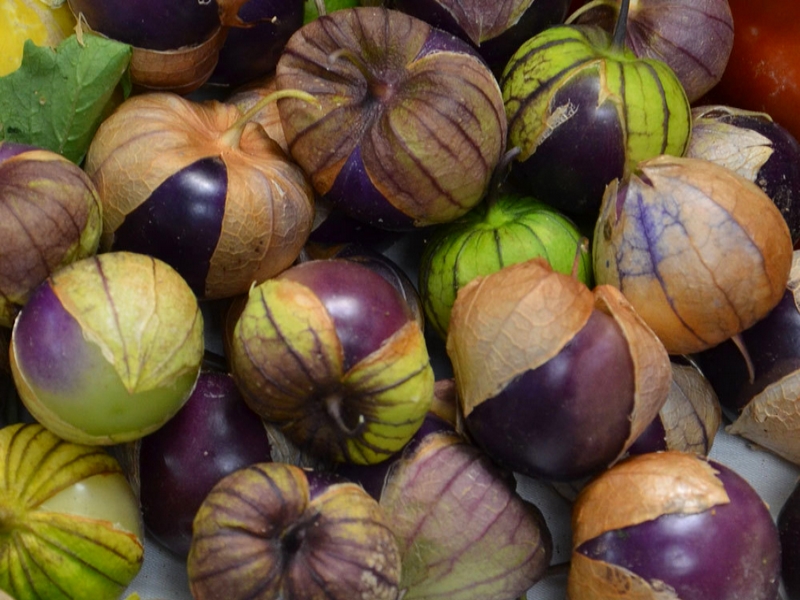 Potager : découvrez des légumes insolites