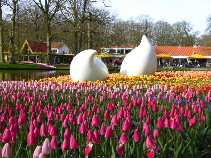 jardin_des-tulipes-hollande_keukenhof (2)