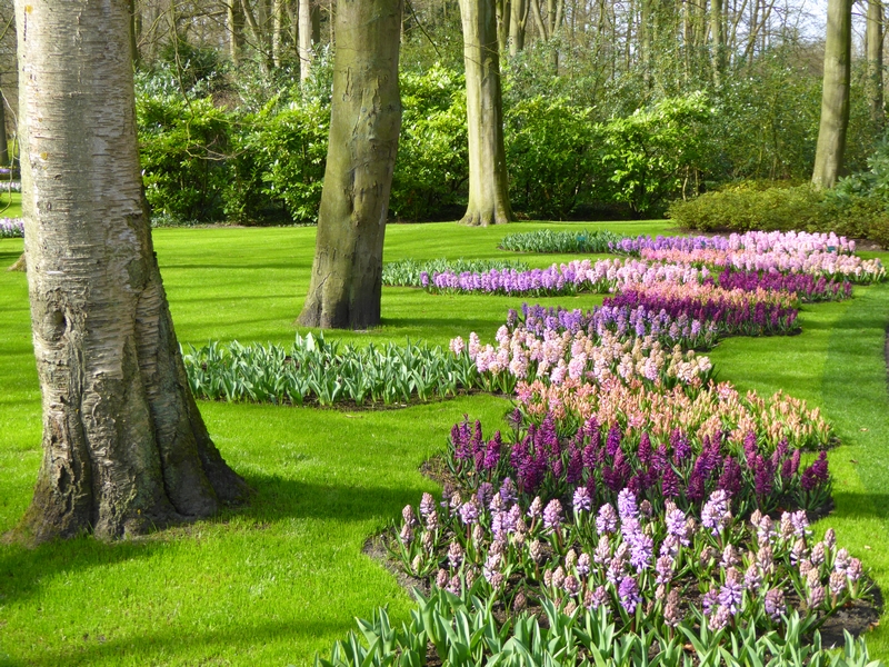 jardin_des-tulipes-hollande_keukenhof (3)