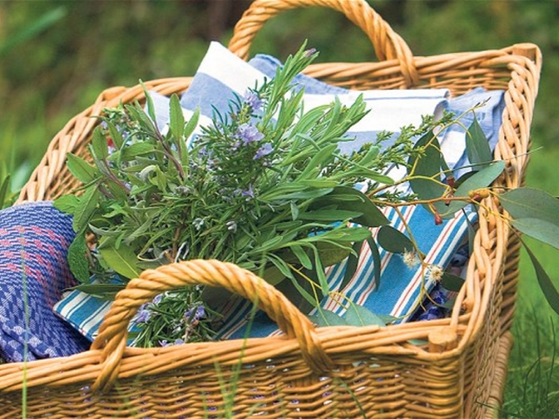 10 choses insolites à faire avec des herbes aromatiques