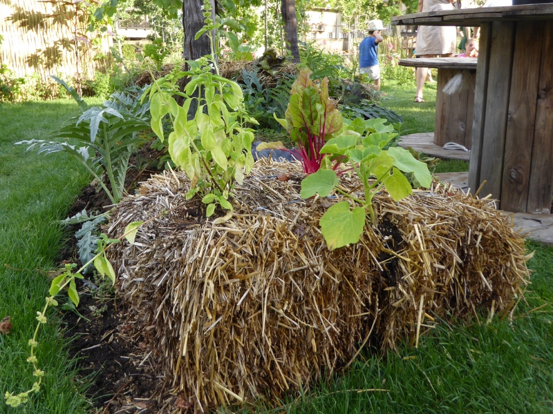 Jardin: la culture sur botte de paille