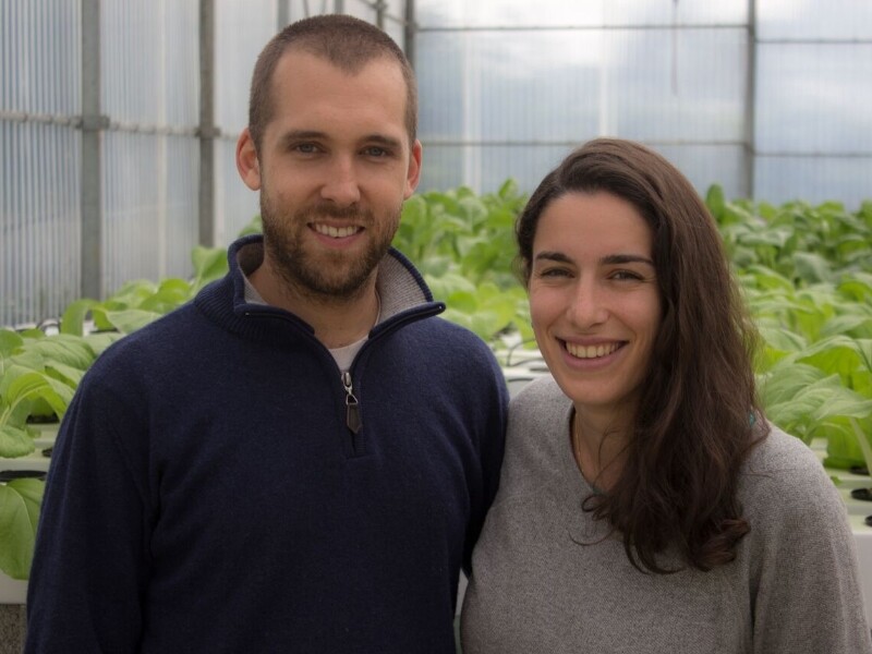 Les sourciers, ferme hydro (1)