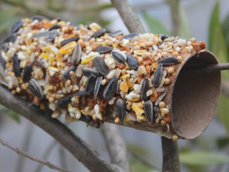 Recyclage rouleaux de papier toilette (1)