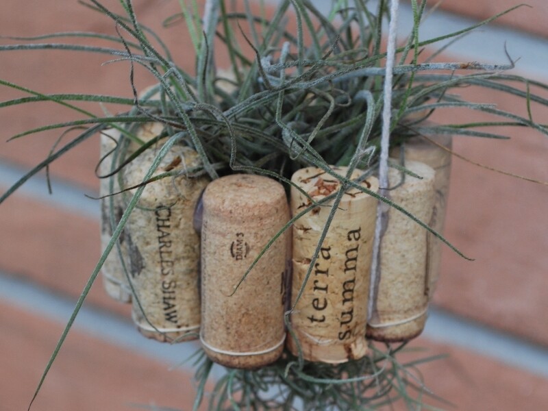 Cuisine - Vins. Bouchons en liège : recyclez-les en objets