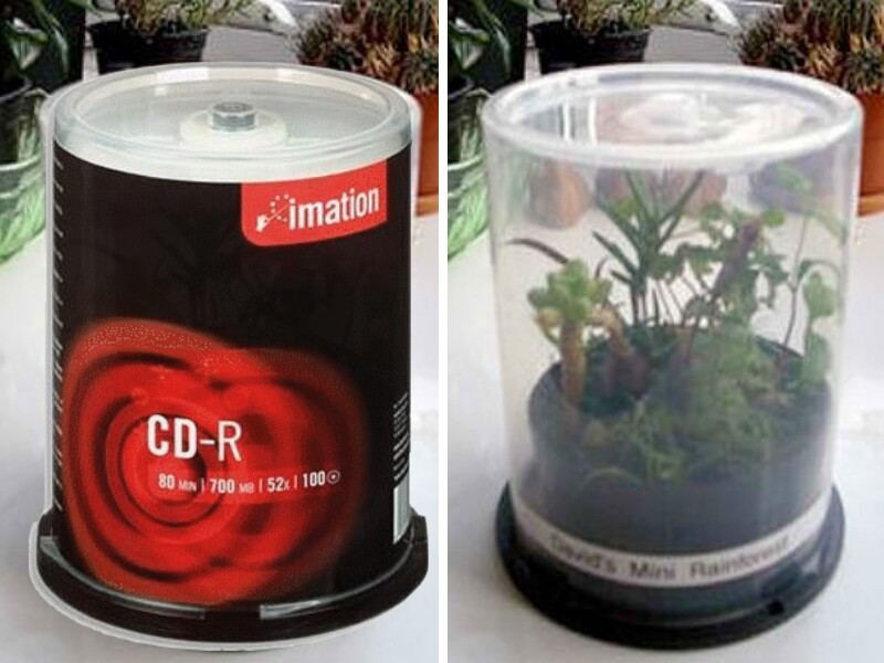 Une mini serre avec un tout à CD - Source : Balconygardenweb.com 