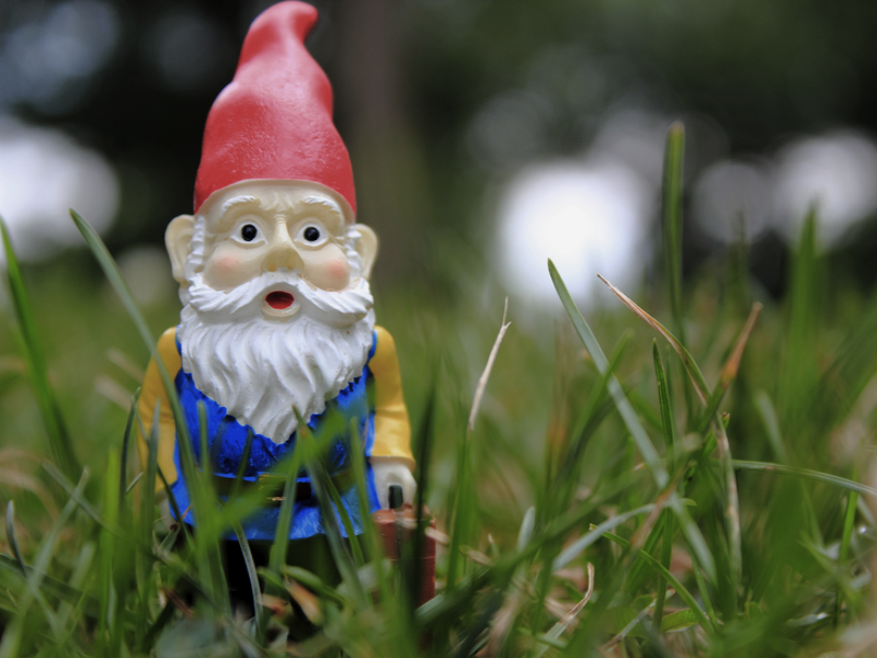 La folie des nains de jardin : L'histoire d'un succès fulgurant !