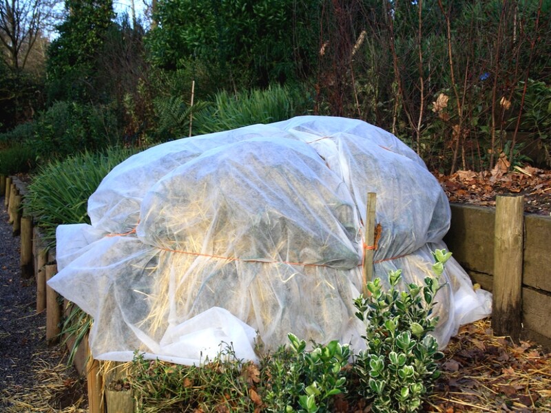 Voile d'hivernage : Hivernage des plantes AUTRES MARQUES jardin - botanic®