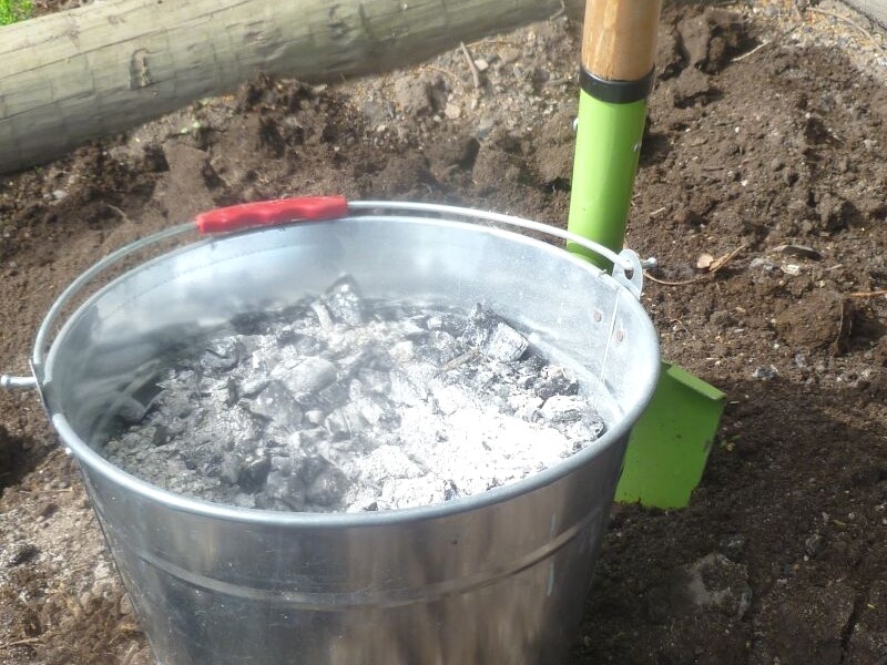 La cendre de bois pour enrichir le sol du jardin !