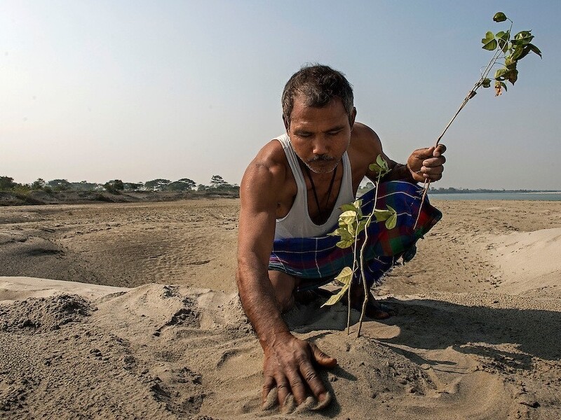 Jadav Payeng, forest man