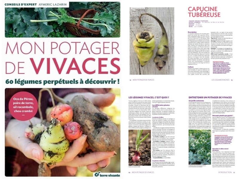 Mon potager de vivaces, aux Éditions Terre Vivante, disponible à partir du 6 mars 2016.