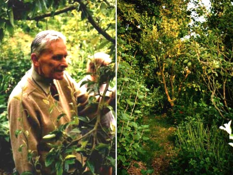 Robert Hart dans sa forêt-jardin !