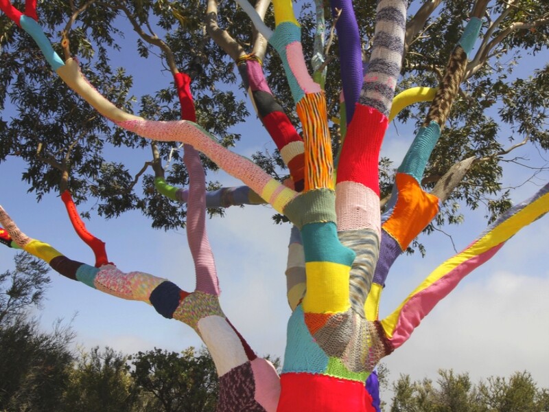 Un arbre tricoté (États-Unis) - Source : Galleryhip.com