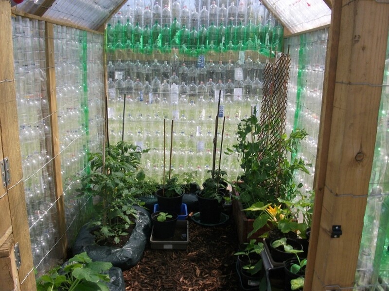 Une serre en bouteilles plastiques pour promouvoir "Green Lifestyle" dans un école en Angleterre - Photo : Stanningtonfirstschool.co.uk