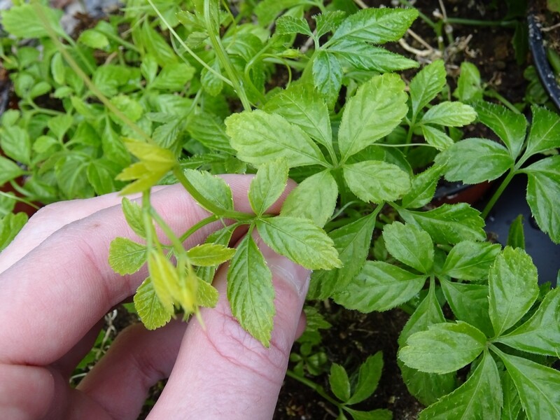 Pots En Céramique Pour Plantes - Livraison Gratuite Pour Les Nouveaux  Utilisateurs - Temu France