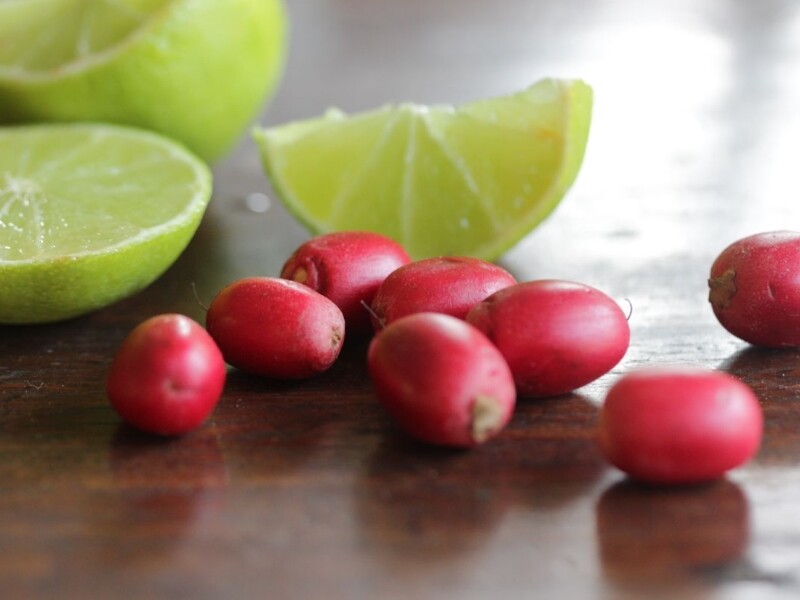 Miraculine, Baie du Miracle, de 5 à 60 Fruit Miracle séché, Syncepalum  Dulcificum. -  France