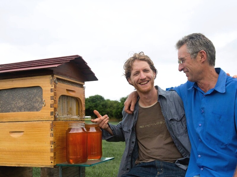 On s'est fait un avis sur la ruche flowhive ! Et vous, qu'en