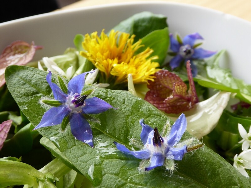 salade de fleurs (2)