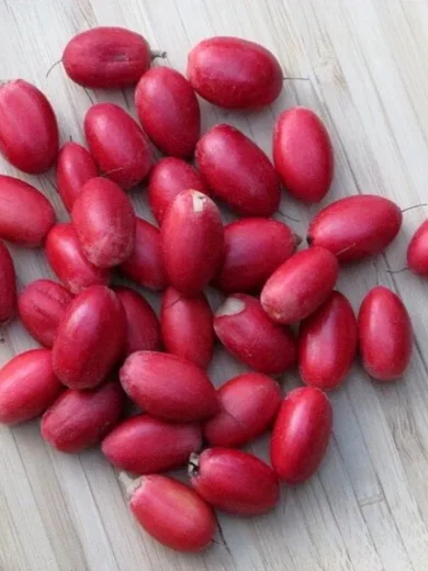 Synsepalum dulcificum (Fruit du Miracle) Graines fraiches