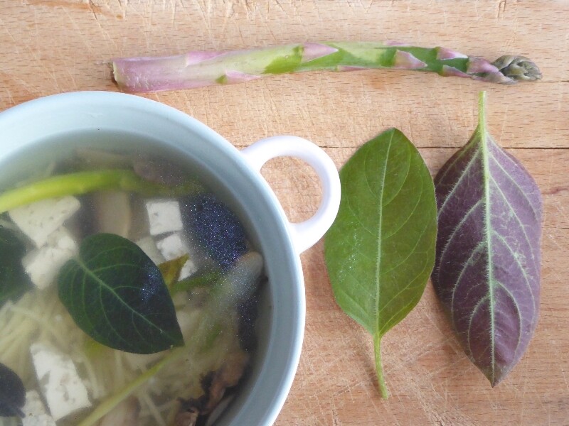 Soupe miso avec la plante fromage - Photo : Alsagarden.com