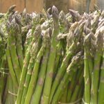 Asperge d'Argenteuil hative (Variété régionale) Graines