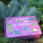 Coffret de graines Légumes détox (10 variétés détoxifiantes)