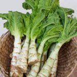 Laitue Asperge (Celtuce) Graines