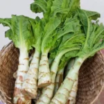 Laitue Asperge (Celtuce) Graines