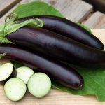 Aubergine de Barbentane (Variété traditionnelle) Graines