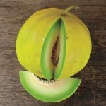 Melon 'Boule d'or' (Variété ancienne) Graines