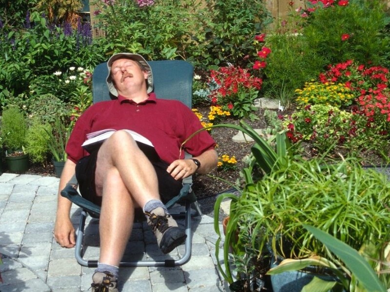 10 astuces sur l'arrosage des plantes d'intérieur - Jardinier paresseux