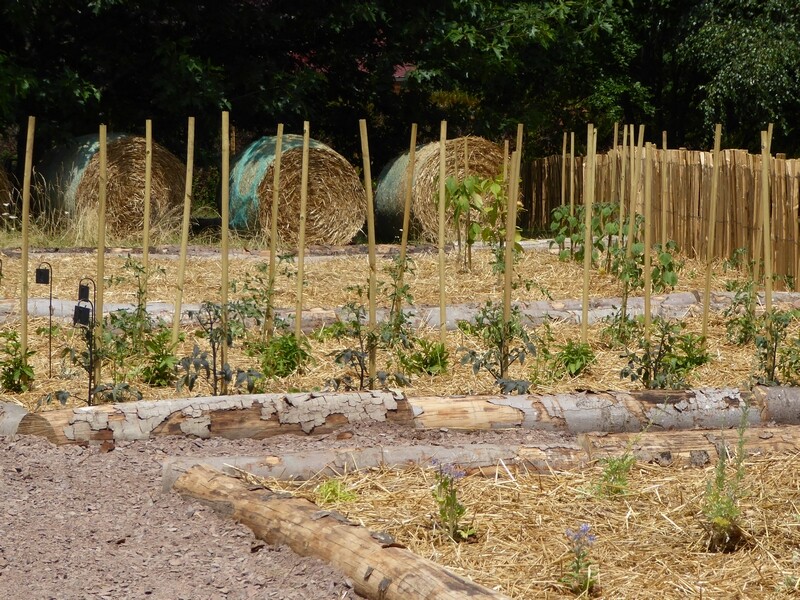 La paille : en botte, un paillage économique au jardin