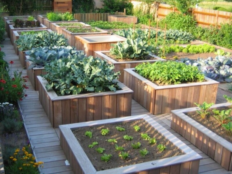 YSUEFIJO Bac a Potager Exterieur Sureleve, Lit de Plantation Surélevé,  Etagère Intégrée, Montage Facile, Potager Surélevé pour Semis et Plantes