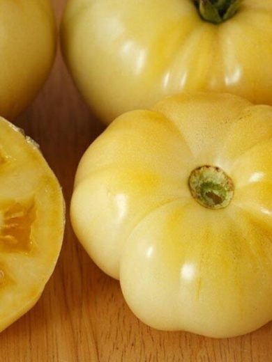 Tomate 'Beauté Blanche' (Variété précoce) Graines