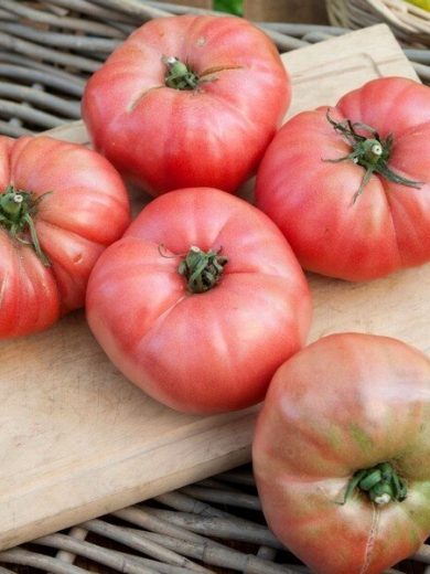 Tomate 'Rose de Berne' (Variété ancienne) Graines