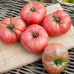 Tomate 'Rose de Berne' (Variété ancienne) Graines