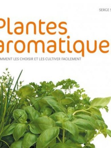 Plantes aromatiques (Serge Schall)