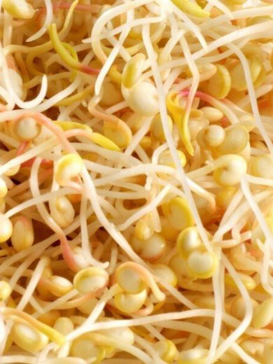 Graines bio à germer de Pois Chiche (200 grammes)