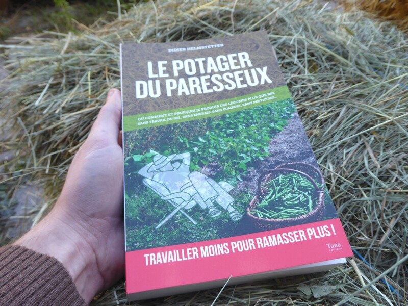 Un mini-potager en bac - Jardinier paresseux