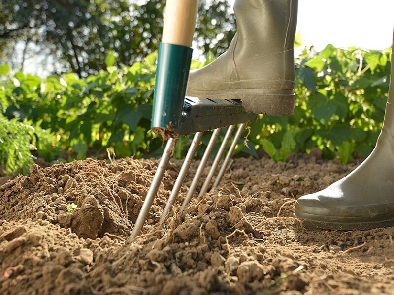 Kit jardinage à offrir avec graines certifiées bio et outils