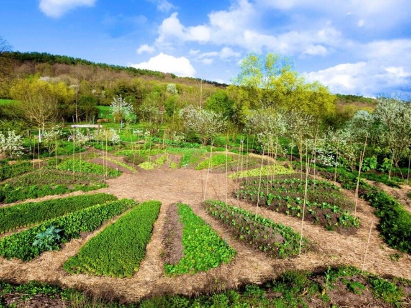 14 conseils pour créer un jardin en permaculture